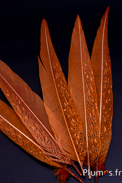 Faisan argenté paillettes bronzes - 32-38 cm - or aztèque